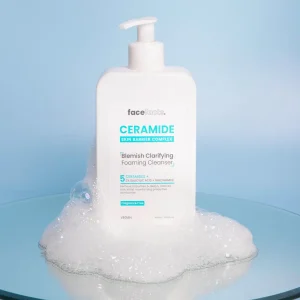 Facefacts Blemish Clarifying Cleanser 400ml